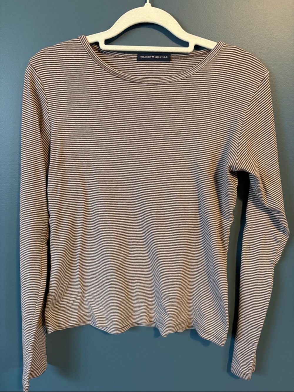 Brandy Melville Brown & White Micro-Striped Long Sleeve Top